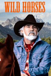Wild Horses
