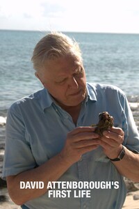 David Attenborough's First Life
