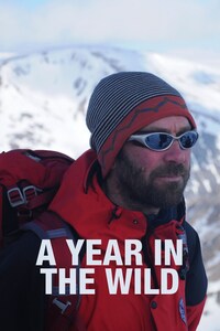 A Year in the Wild